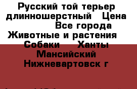 Русский той-терьер длинношерстный › Цена ­ 7 000 - Все города Животные и растения » Собаки   . Ханты-Мансийский,Нижневартовск г.